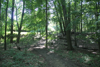 Enlarge photo 121