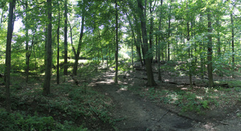 Enlarge photo 122