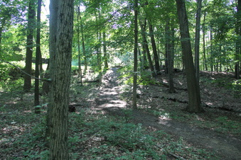 Enlarge photo 123