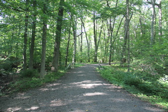 Enlarge photo 124
