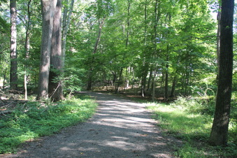 Enlarge photo 126
