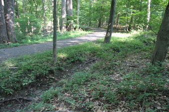 Enlarge photo 127