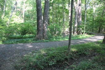 Enlarge photo 128