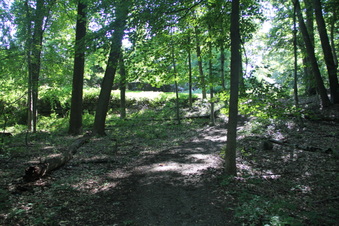 Enlarge photo 129