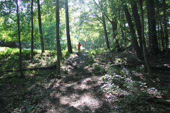 Enlarge photo 130