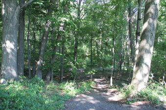 Enlarge photo 131