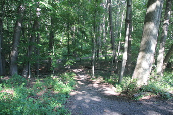 Enlarge photo 132