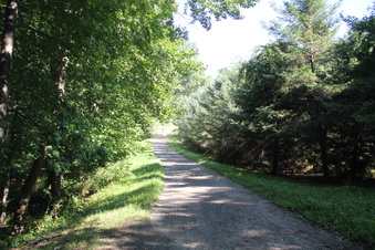 Enlarge photo 133