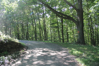 Enlarge photo 134