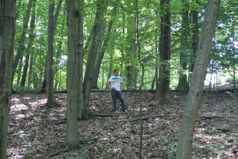 Enlarge photo 137