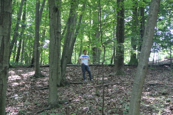 Enlarge photo 138