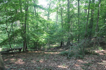 Enlarge photo 141