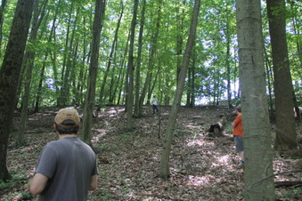 Enlarge photo 145