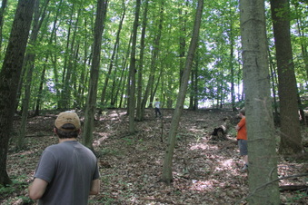 Enlarge photo 146