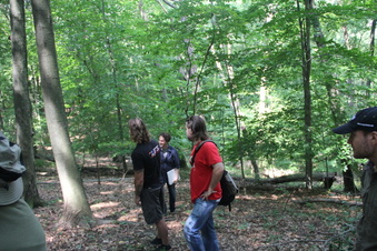 Enlarge photo 147