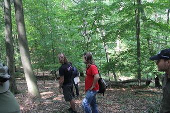 Enlarge photo 148
