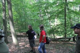Enlarge photo 149
