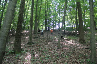 Enlarge photo 151