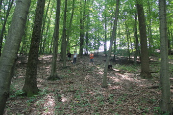 Enlarge photo 152