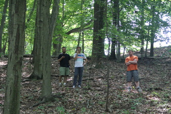 Enlarge photo 153