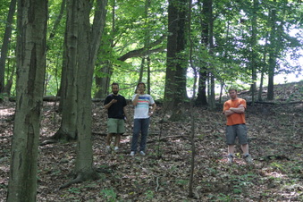 Enlarge photo 154