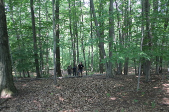 Enlarge photo 156