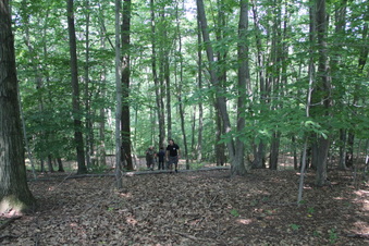 Enlarge photo 157