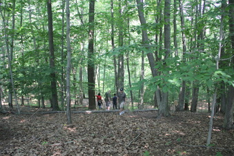 Enlarge photo 158