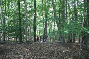 Enlarge photo 159