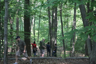 Enlarge photo 160