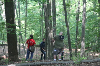 Enlarge photo 163