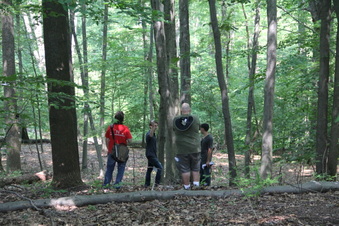 Enlarge photo 164