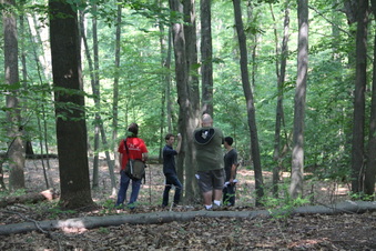 Enlarge photo 165