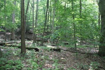 Enlarge photo 167