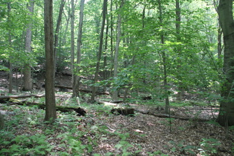 Enlarge photo 168