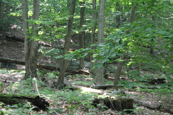 Enlarge photo 169
