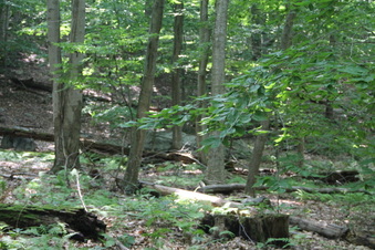 Enlarge photo 170