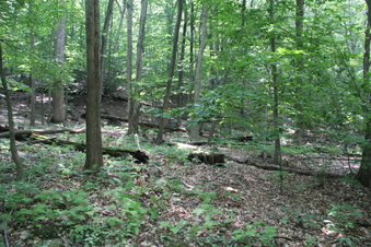 Enlarge photo 171
