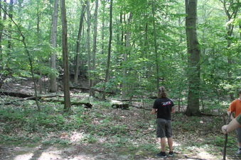 Enlarge photo 173