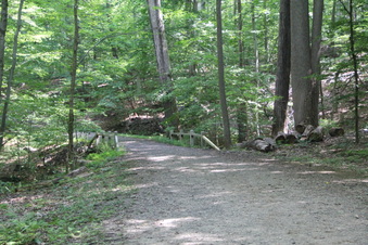 Enlarge photo 174