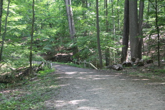 Enlarge photo 175