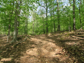 Enlarge photo 4