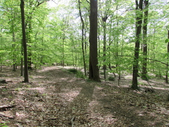Enlarge photo 7