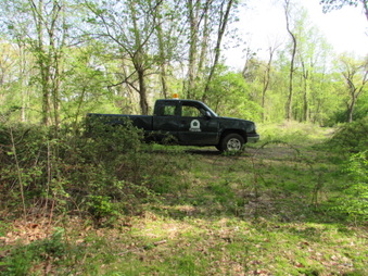 Enlarge photo 2