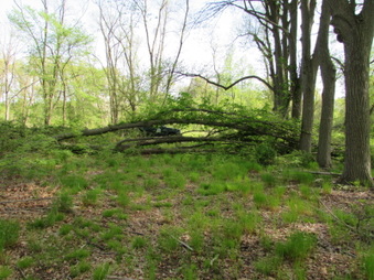 Enlarge photo 3