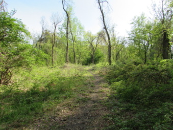 Enlarge photo 12
