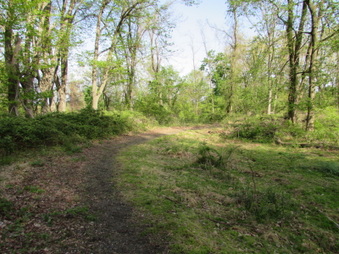 Enlarge photo 13