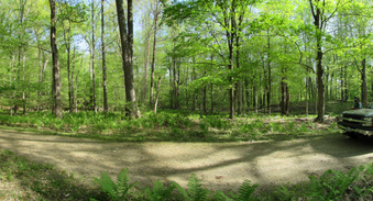 Rockefeller State Park