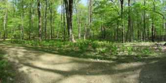 Enlarge photo 2