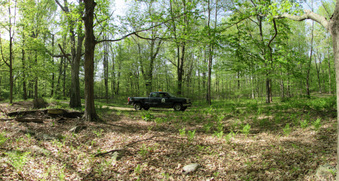 Enlarge photo 4